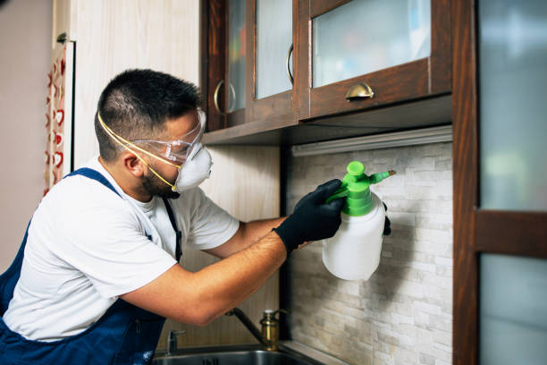 Best Cockroach Control Services  in Malmstrom Af, MT