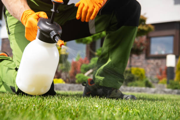 Best Affordable Pest Control Services  in Malmstrom Af, MT