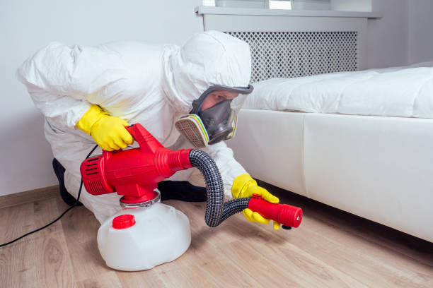 Best Wasp Removal Services  in Malmstrom Af, MT