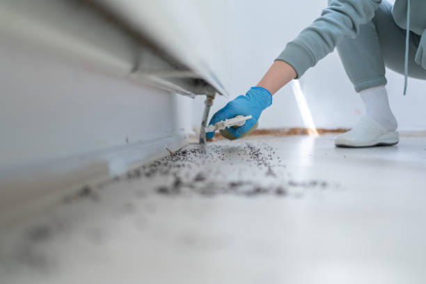 Best Affordable Pest Control Services  in Malmstrom Af, MT